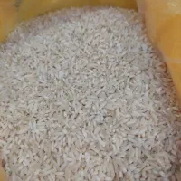 طارم محلی
