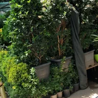 خدمات باغبانی وفضای سبز در تهران وحومه|خدمات باغبانی و درختکاری|تهران, پاسداران|دیوار