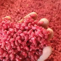 زرشک پفکی اعلا