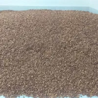 خرما قصب درجه یک|عمده‌فروشی|لار, |دیوار