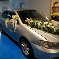 لیفان 620