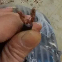 کابل 2×4 تعداد 3عدد کابل 2×6 تعداد1عددکلاف کامل|ابزارآلات|صفادشت, |دیوار