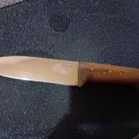 چاقو سلاخی و آشپزخانه