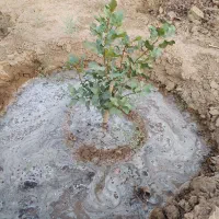 زمین کشاورزی وصنعتی