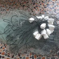 تور ماهی گیری ساحلی