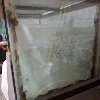 آکواریوم بزرگ|ماهی|رامسر, |دیوار