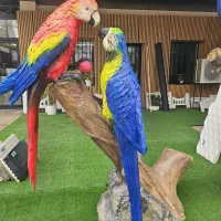 مجسمه طوطی سیمانی و دست ساز مخصوص ویلا و شهرک