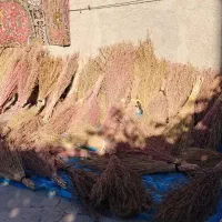 جارو شیرازی