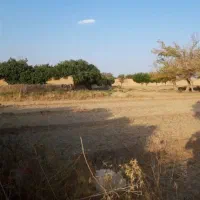 زمین  با سندمزرعی  ۴۸۳ متر