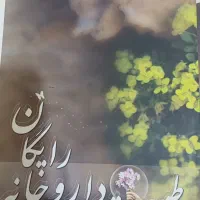 کتاب شیوه استفاده از گیاهان دارویی درمنزل