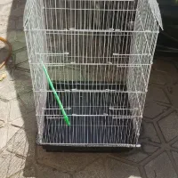 قفس بزرگ نوعه نو