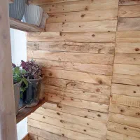 یک عدد گلخانه چوبی چرخ دار|گل و گیاه طبیعی|شاهین‌شهر, گزبرخوار|دیوار