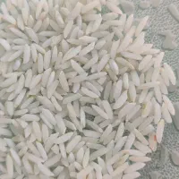 برنج مامان(اصل ممان میانه)|خوردنی و آشامیدنی|زنجان, |دیوار