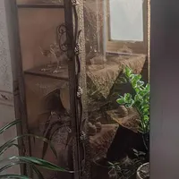 بوفه