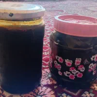 دوشاب توت  تازه امسال|خوردنی و آشامیدنی|مشگین شهر, |دیوار