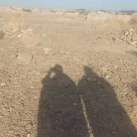 زمین فروشی|فروش زمین و ملک کلنگی|دامن, |دیوار