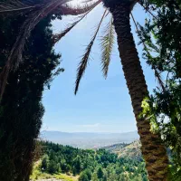 ۱۰۰۰m . باغشهری کودیان . سند . درب و دیوار