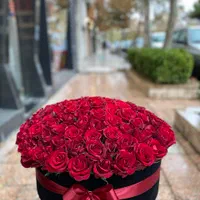 ارائه خدمات سبد گل دسته گل تاج گل پایه گل ترحیم|خدمات پذیرایی، مراسم|مشهد, امیر|دیوار