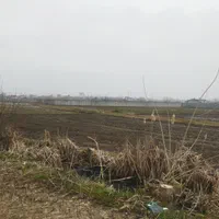 فروش زمین ۱۰۰۰ متری در سیاه اسطلخ|فروش زمین و ملک کلنگی|رشت, سیا اسطلخ|دیوار