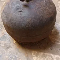 پکنیک سالم