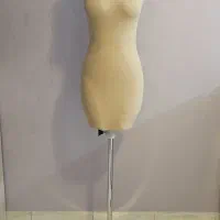 مانکن سوزن خور