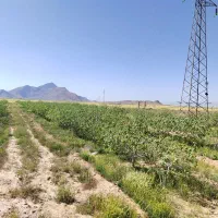 فروش 1200متر باغشهری داریون