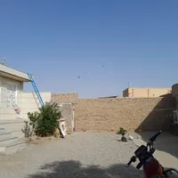 کبوتر