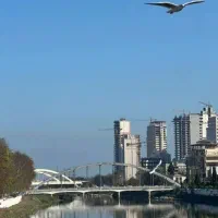 اجاره-واحد-اداری-و-تجاری-80-متری-مرکز-شهر