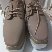 کفش لژدار|کیف، کفش، کمربند|دهلران, |دیوار