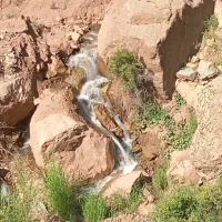 فروش-باغ-در-الموت-شرقی-دارای-چشمه-شخصی