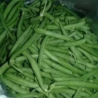 لوبیا سبز تاره