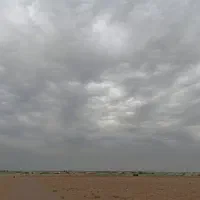 همخونه موجه