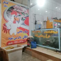 مرغ ماهی زنده فروشی واگذار میگردد باوسایل