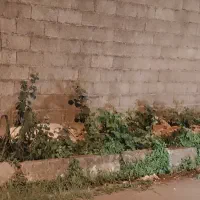 زمین-500-متری-منطقه-پاسداران