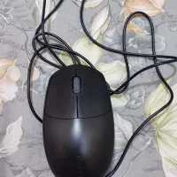موس