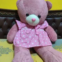 عروسک|اسباب‌‌بازی|مشهد, تربیت (صدف)|دیوار