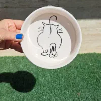 ظروف سرامیکی دست ساز پت