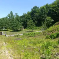 زمین کاربری باغی ۱۰۰۰ متر مربع روستای موشنگاه