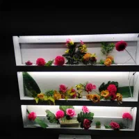 استند دیواری گل با نور مخفی سفید و قابل ارسال