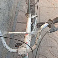 دوچرخه ۲۰|دوچرخه، اسکیت، اسکوتر|باغ بهادران, |دیوار