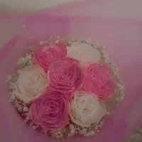 گل ربانی سفید صورتی ۷شاخه