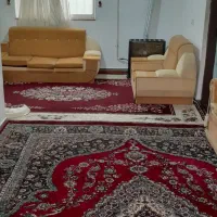 سویت صدمتری ساحل طلای