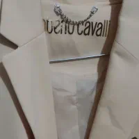 کت تک لیمویی