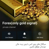 با شراکت من سرمایت رو دوبرابر کن