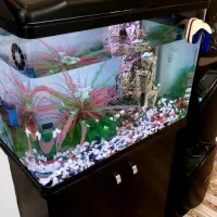 اکواریوم دلسا