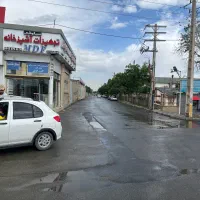 زمین-سنددار-تک-برگ