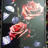 گوشی a55باحافظه ۲۵۶گ