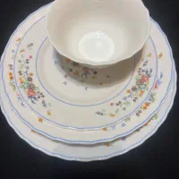 ظروف ویکتوریا