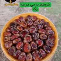 خرما عمده مستقیم از اهواز