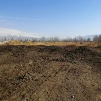 کود مرغی 100 درصد خالص قفسی تخمگذار